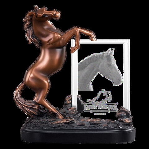 Etched Memory - Bronze Horse Frame