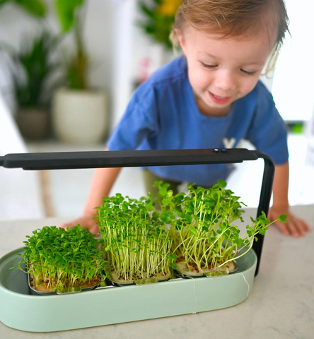 Urban Leaf - Modern Microgreens Kit