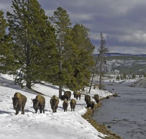 Reserve America - All Things Outdoors